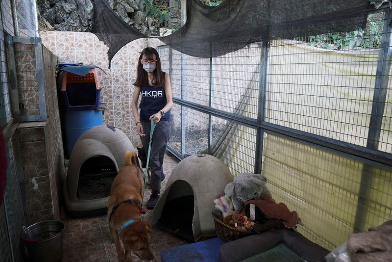 Eva Sit from Hong Kong Dog Rescue holds abandoned dog