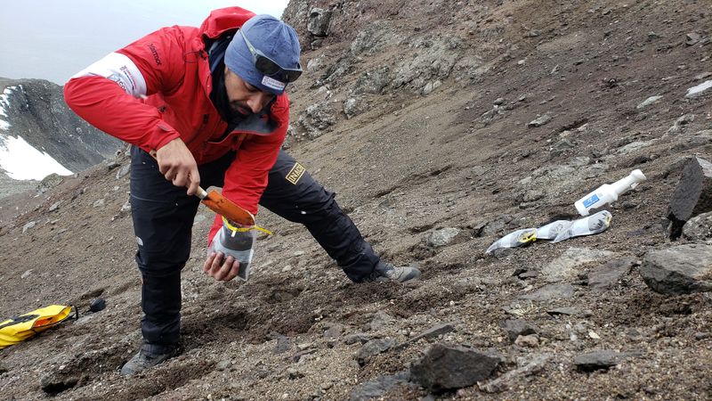 A scientist from the University of Chile collects organic material