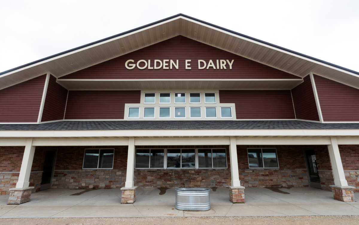 The milking parlor at the Eble family’s Golden E Dairy