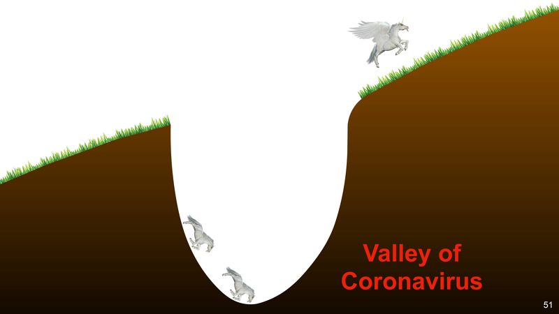 A graphic image entitled “Valley of Coronavirus”, as part of