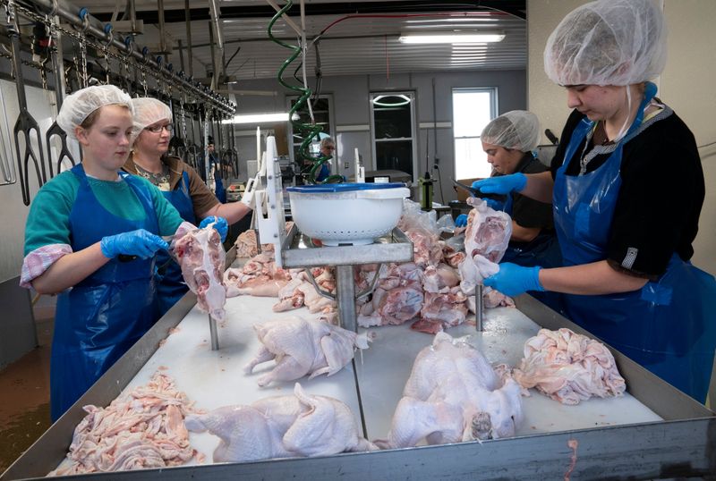 Small meat processors backlogged as virus idles big plants