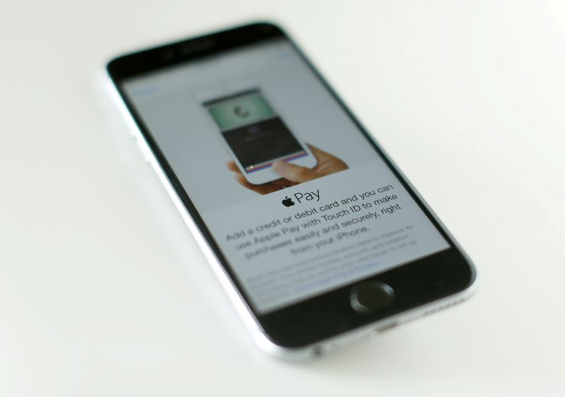 FILE PHOTO: An Apple iPhone 6 with Apple Pay is
