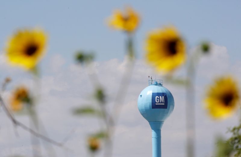 FILE PHOTO: The GM logo is seen at the General
