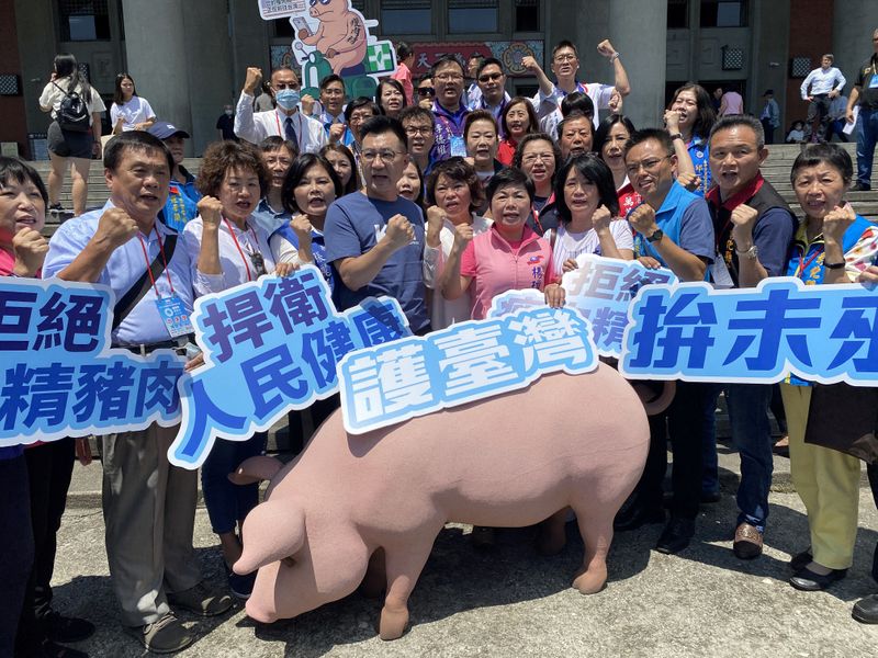 Members of the Kuomintang (KTM), Taiwan’s main opposition party, demonstrate