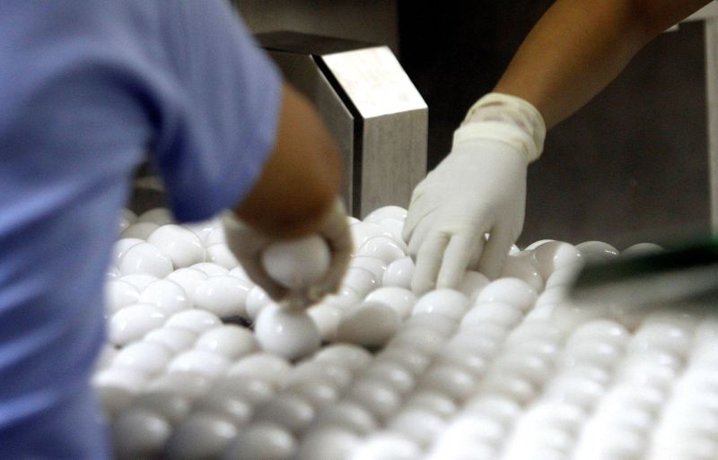 FILE PHOTO: Workers sort eggs after pasteurization at the National
