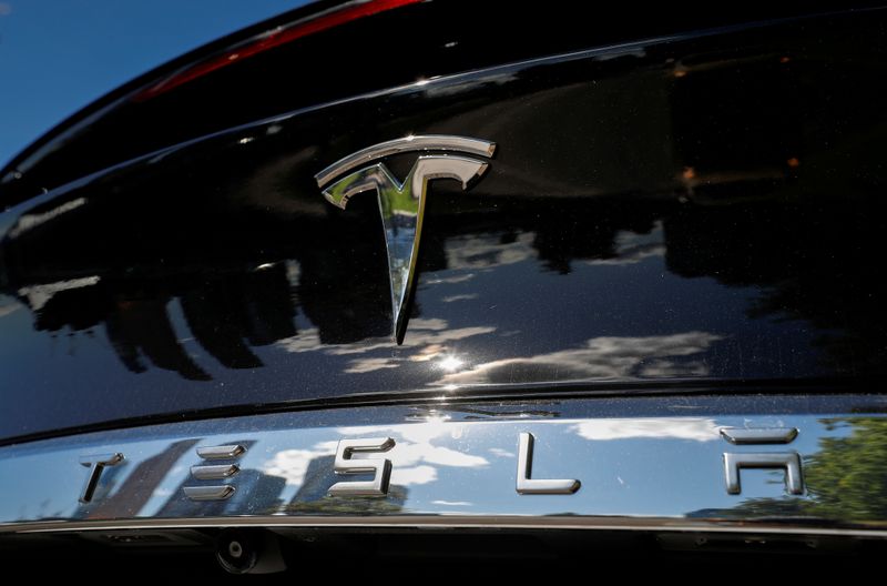 FILE PHOTO: The company logo is pictured on a Tesla Model X