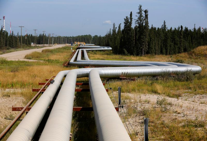 Pipelines carrying steam to well heads and heavy oil back