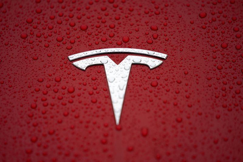 FILE PHOTO: The Tesla logo