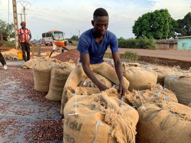 FILE PHOTO: A worker sews up cocoa bags after drying