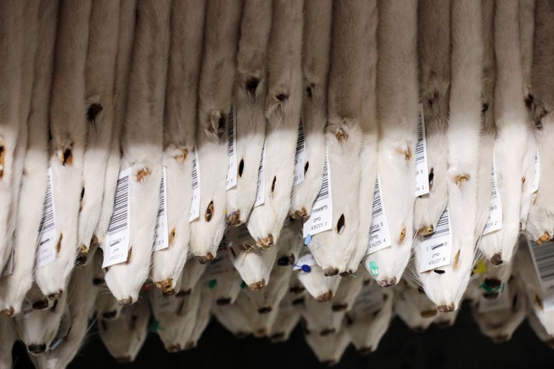 Labeled mink pelts are seen in storage at Kopenhagen Fur