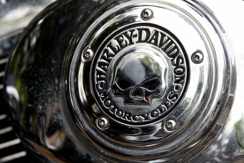 A Harley Davidson logo with a skull is seen on