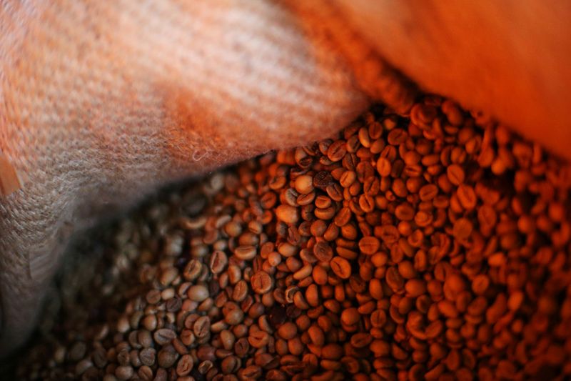FILE PHOTO: Coffee beans are pictured inside a sack at