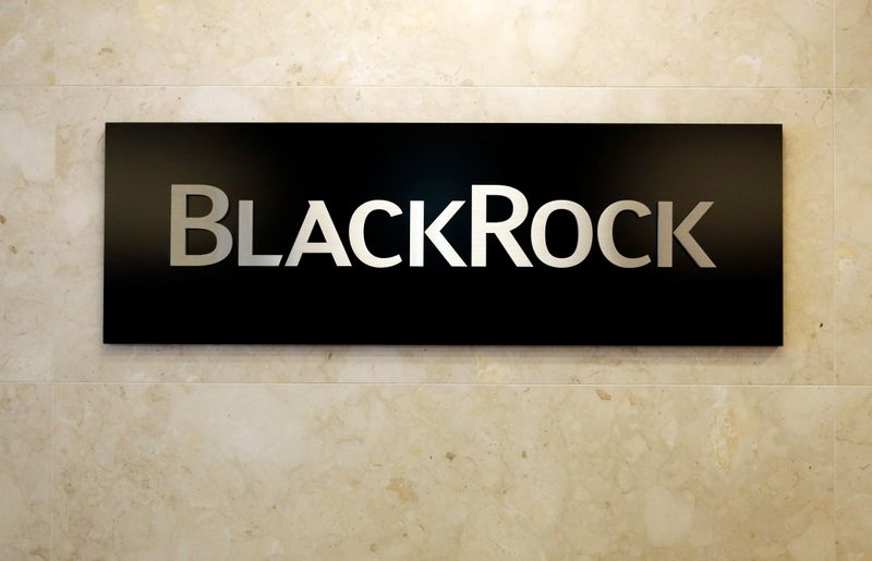 BlackRock logo is seen at the BlackRock Japan headquarters in