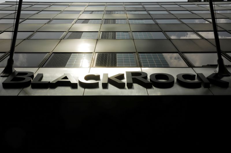 FILE PHOTO: A sign for BlackRock Inc hangs above their