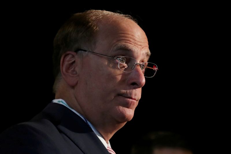FILE PHOTO: Larry Fink, Chief Executive Officer of BlackRock, stands