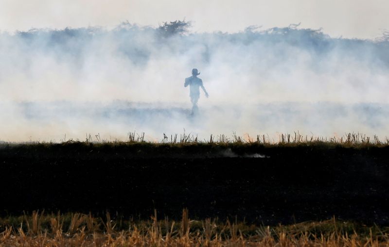 FILE PHOTO: A farmer burns paddy waste stubble in a