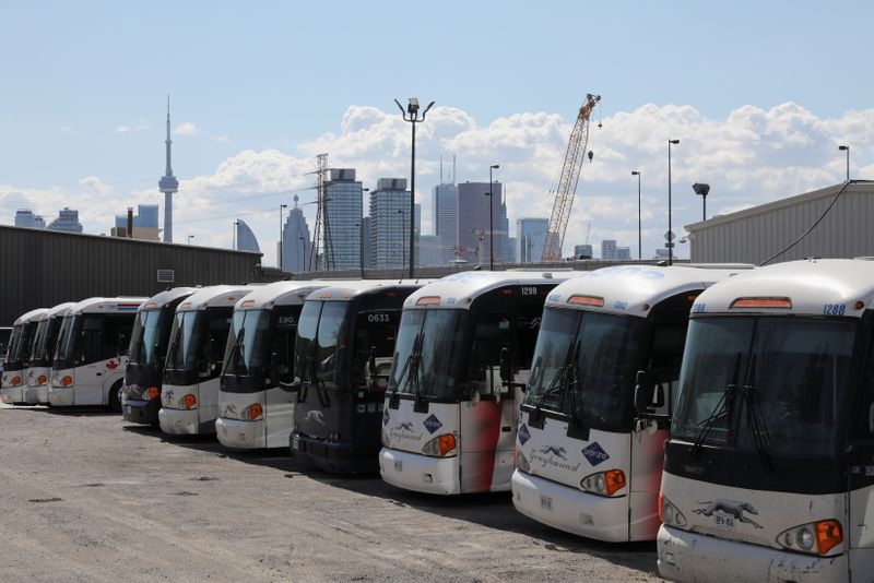 Idle Greyhound buses are parked after the transportation company announced