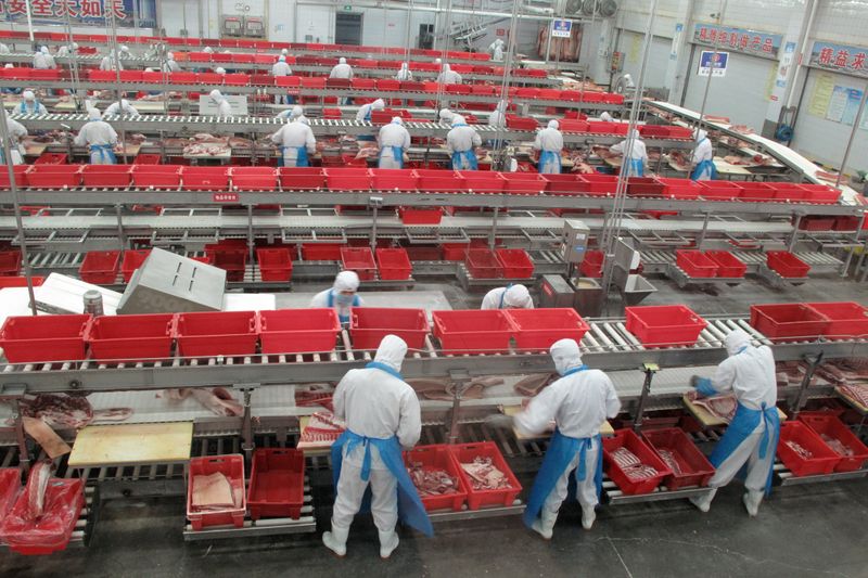 Workers sort cuts of fresh pork in a processing plant