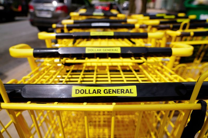 abDollar General shopping carts are seen outside a store in