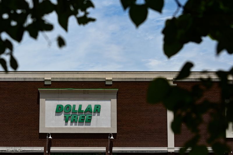 A Dollar Tree sign is seen outside the store in