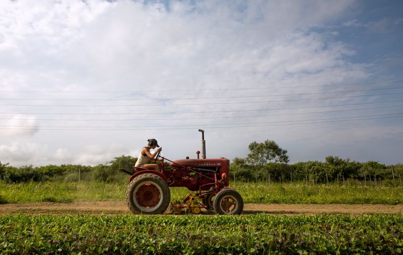 FILE PHOTO: Farmer Isabel Milligan drives a tractor as she