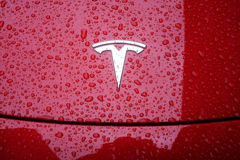FILE PHOTO: A Tesla logo is pictured on a car