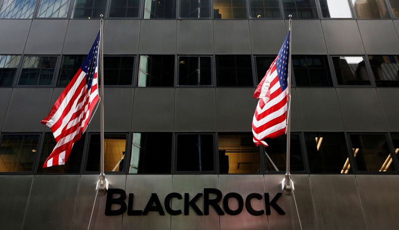 FILE PHOTO: The BlackRock logo is seen outside of its
