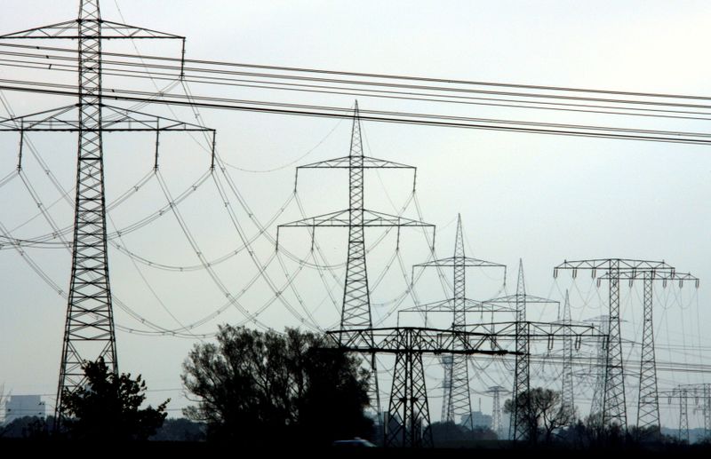 FILE PHOTO: High-voltage power lines and electricity pylons near Berlin