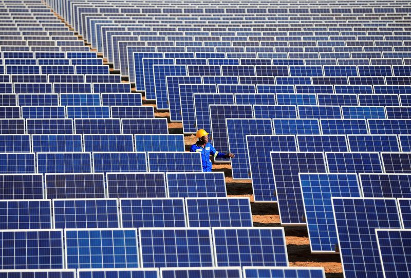 FILE PHOTO: A worker walks between solar panels at Centragrid