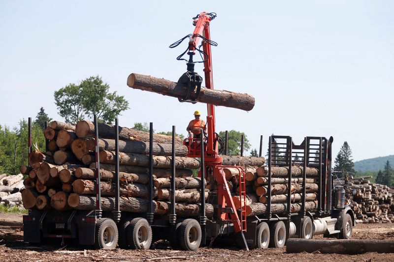 FILE PHOTO: A worker unloads logs at the Murray Brothers