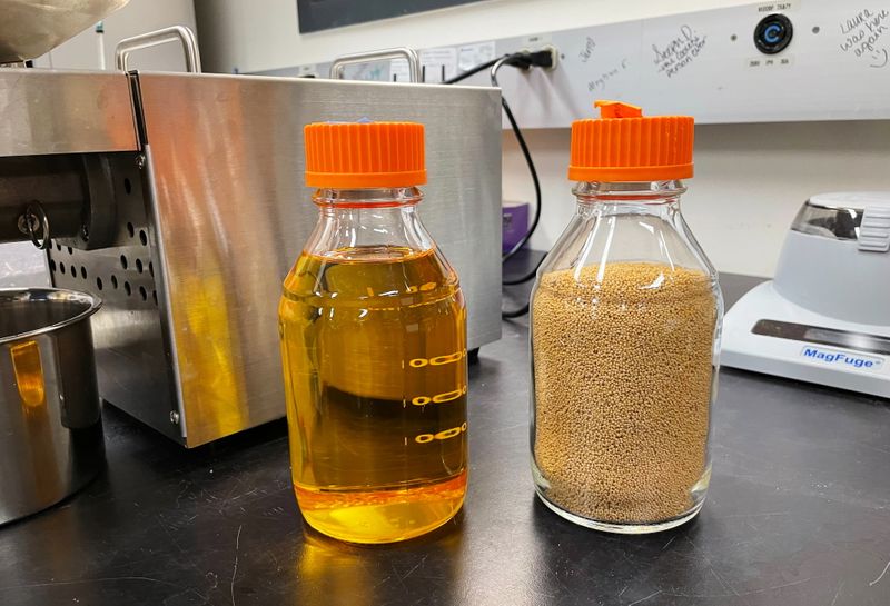 Bottles of covercress seeds and oil are seen at an
