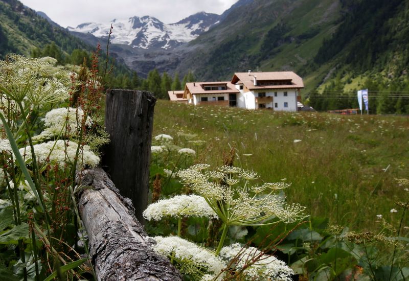 FILE PHOTO: Flowers are seen in front of the Ortler