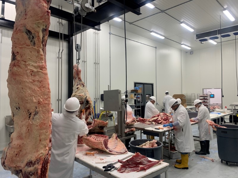 Workers use knives to butcher cattle carcasses at a new