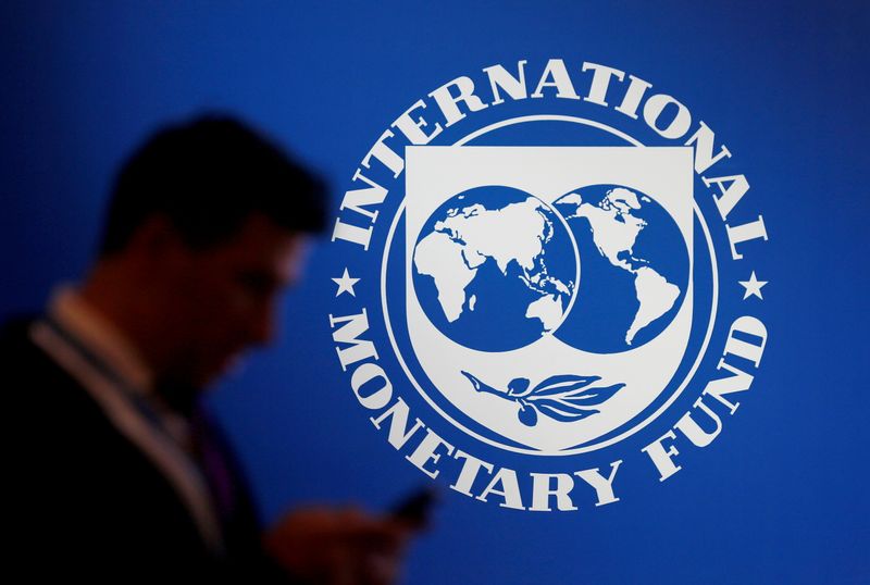 FILE PHOTO: A participant stands near a logo of IMF
