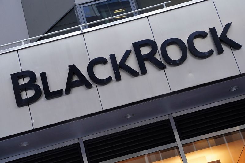 FILE PHOTO: The BlackRock logo is pictured in New York