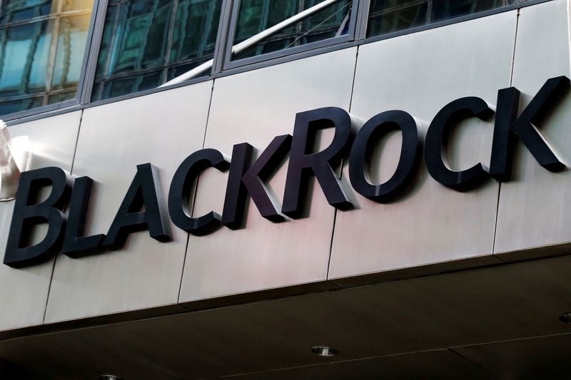 FILE PHOTO: The BlackRock logo is seen outside of its