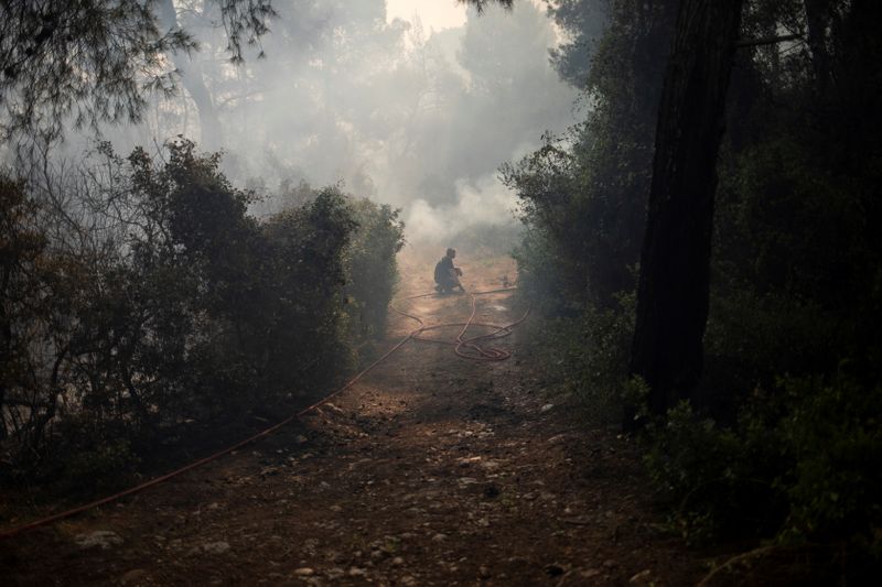 FILE PHOTO: Wildfire in the village of Mazi, near Corinth,