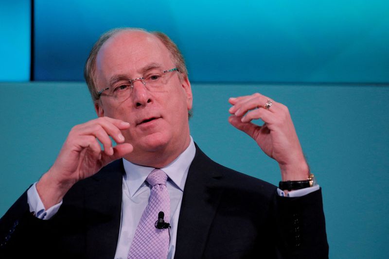 FILE PHOTO: Larry Fink, Chief Executive Officer of BlackRock, takes