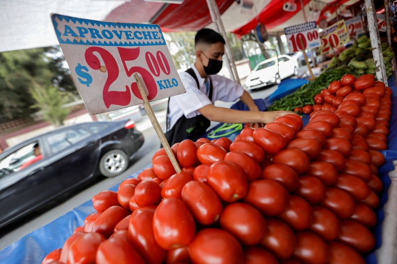 A vendor arranges tomatoes in his stall at a street