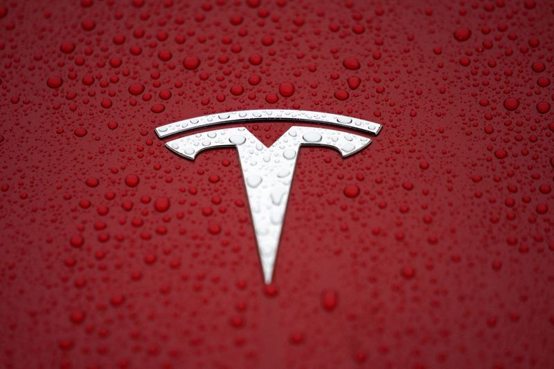 FILE PHOTO: A Tesla logo is seen at a groundbreaking