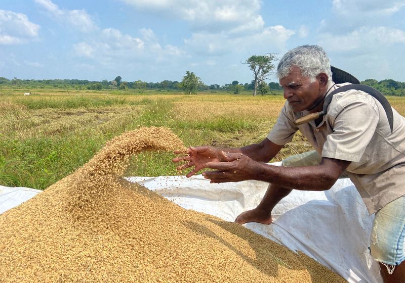 Sri Lankan farmers reel from fertiliser ban, as government support