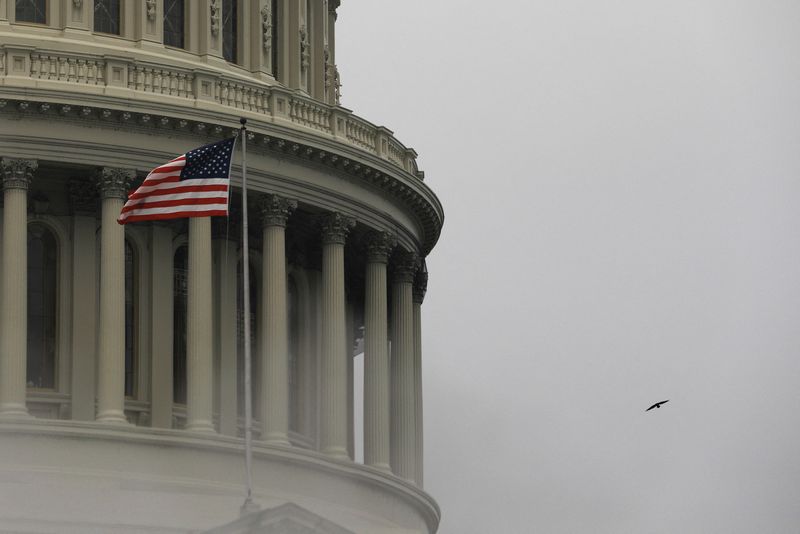 FILE PHOTO: United States Capitol building in Washington