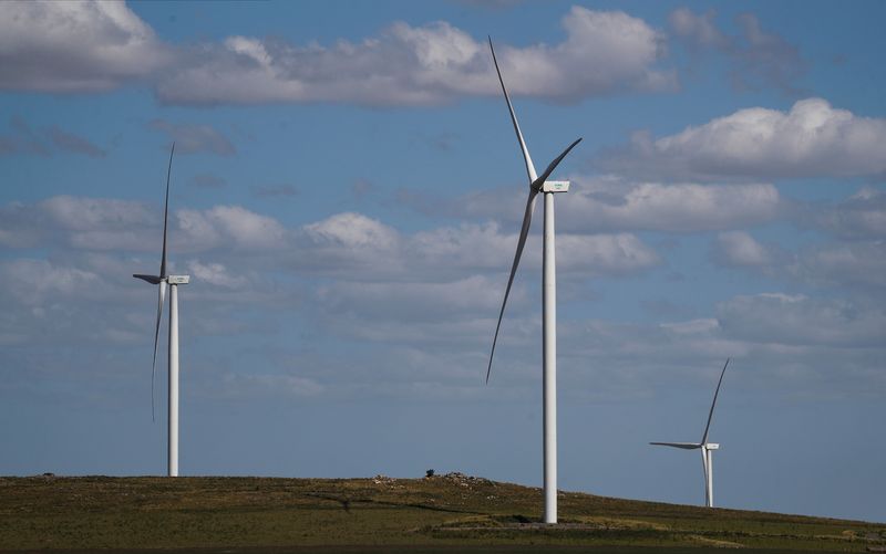 Wind turbines are pictured at Los Teros wind farm, in