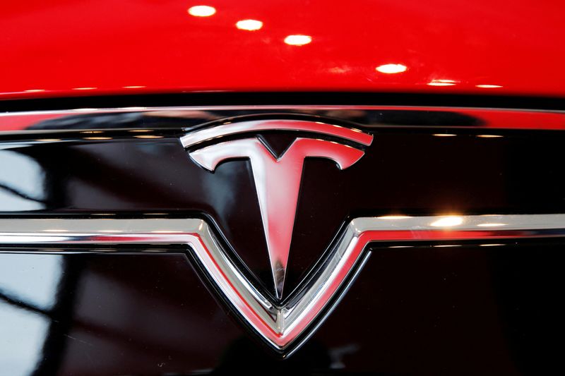 FILE PHOTO: FILE PHOTO: A Tesla logo on a Model
