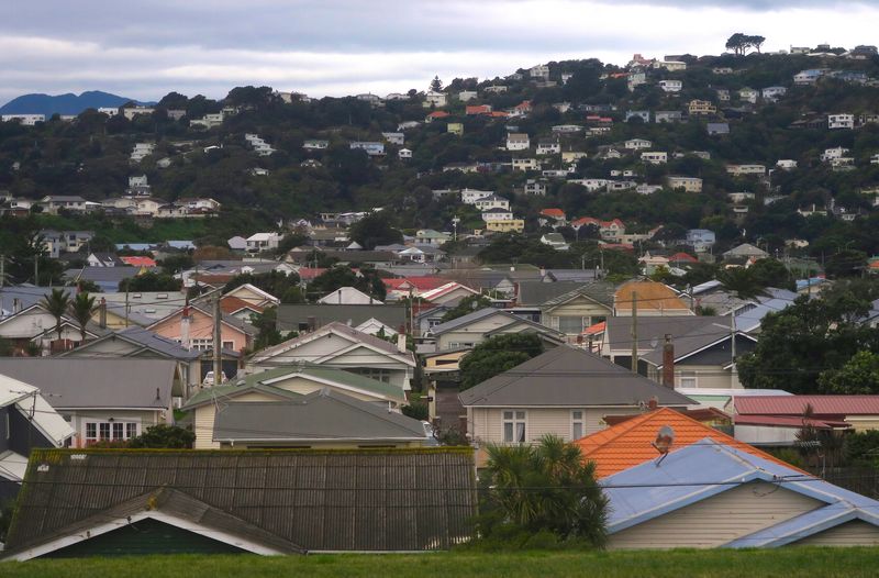 Residential houses are seen in Wellington, New Zealand