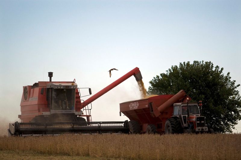 FILE PHOTO: Farmers harvest soybeans in Argentina’s town of Estacion