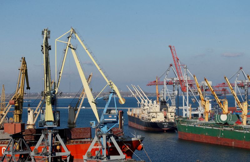 FILE PHOTO: Cargo ships are docked in Black sea port