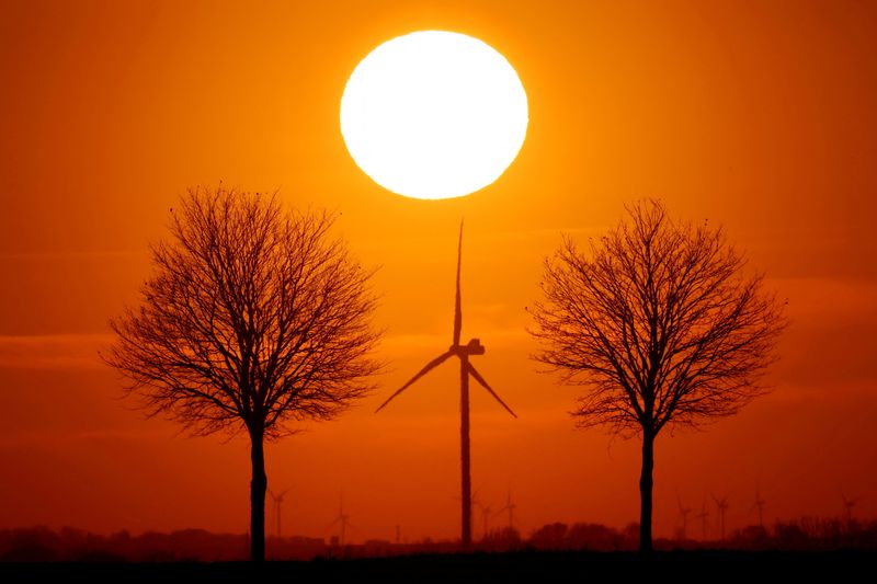FILE PHOTO: Power-generating windmill turbines are seen during sunset in