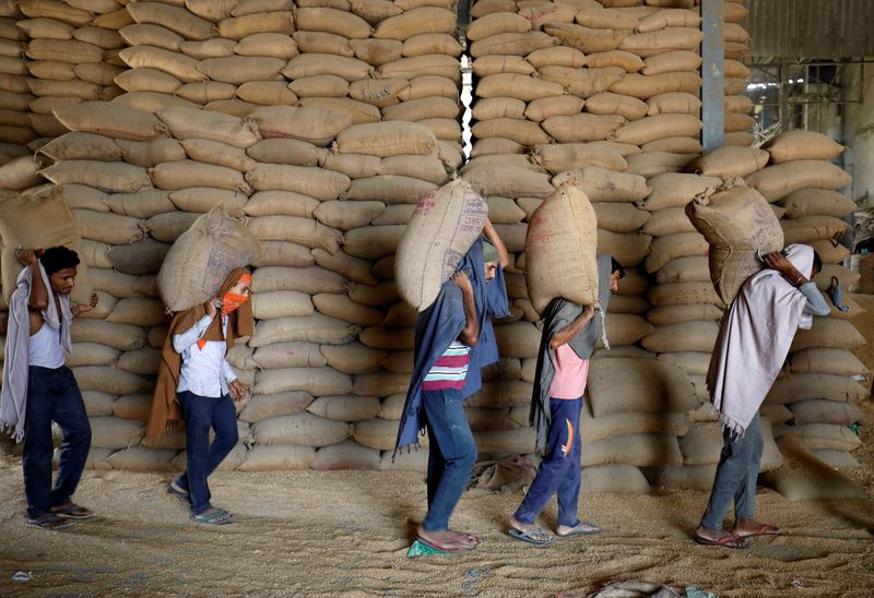 Workers carry sacks of wheat for sifting at a grain