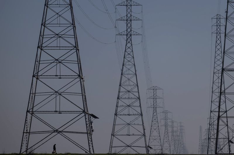 FILE PHOTO: Power grid towers at Bair Island State Marine